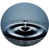 gota