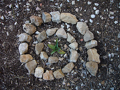piedra