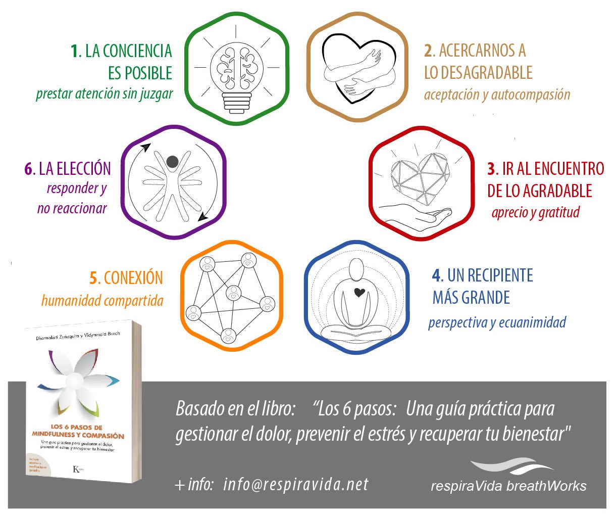 6 pasos