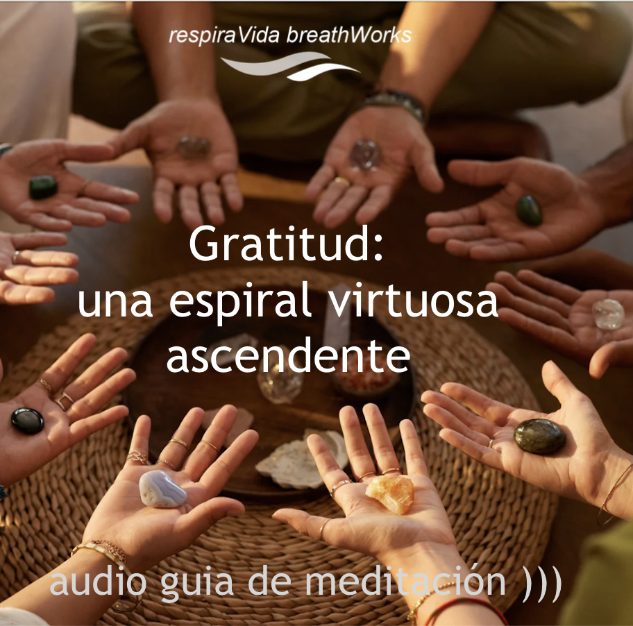 pausa gratitud