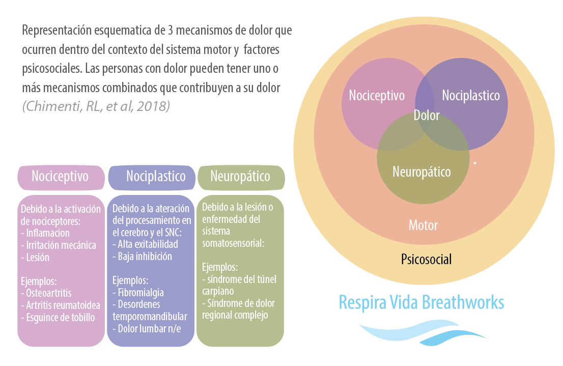 mecanismo del dolor