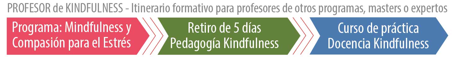 profesor de kindfulness