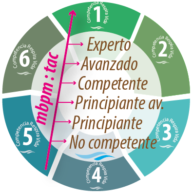 competencias docentes mbpm