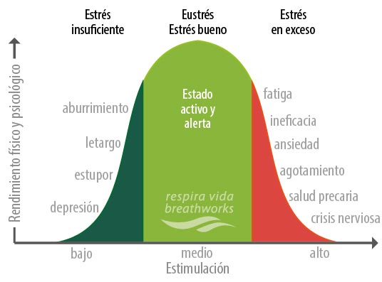 eustres y mindfulness eustres y mindfulness