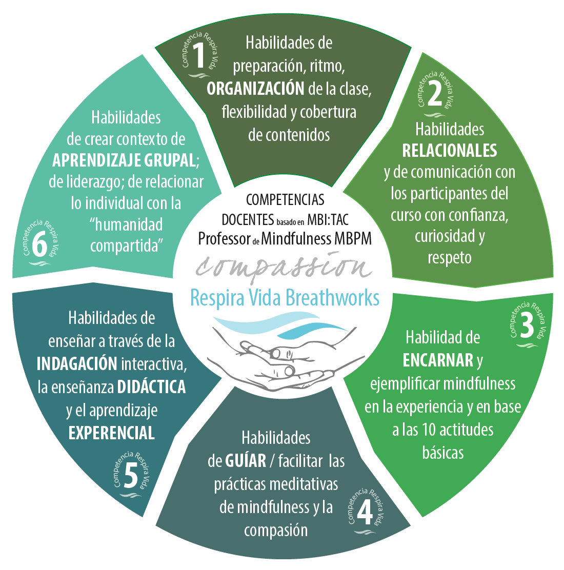 Modelo de competencia docente MBI:TAC RV BW