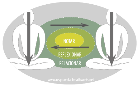 indagación mindfulness