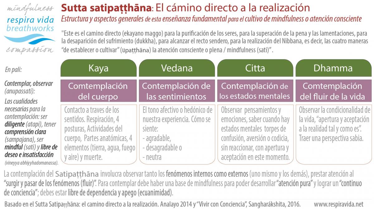 cuatro bases de la atención plena o mindfulness