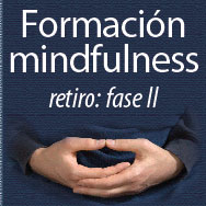 Formación profesional de Mindfulness, fase II manos