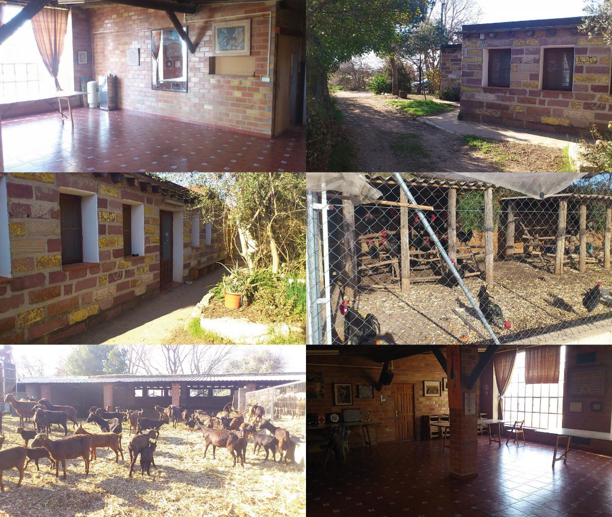 granja