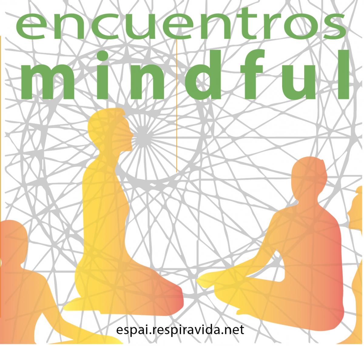 meditación y educación