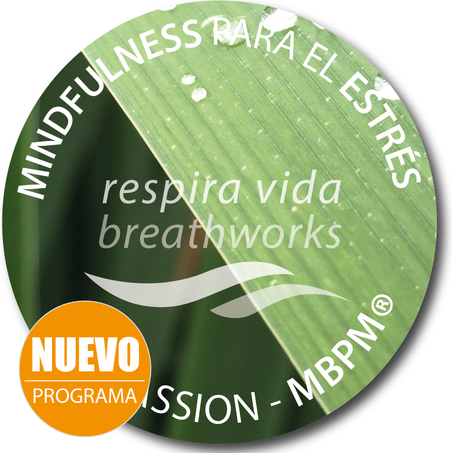 Mindfulness para el estrés MBPM