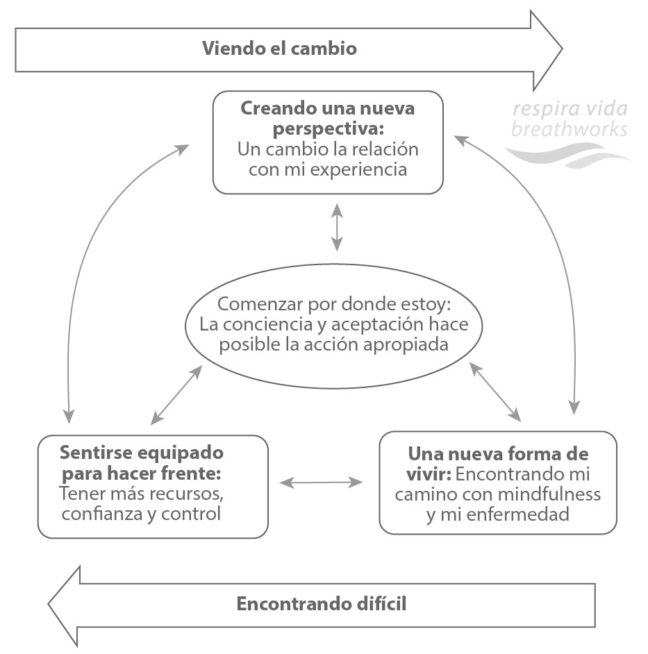 Evidencias de MBPM