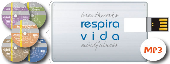 pen drive con audios mp3 mindfulness para la salud pen drive