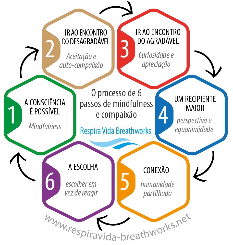 Los 6 pasos de Respira Vida Breathworks